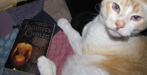 Tofu kitty with a very good book.