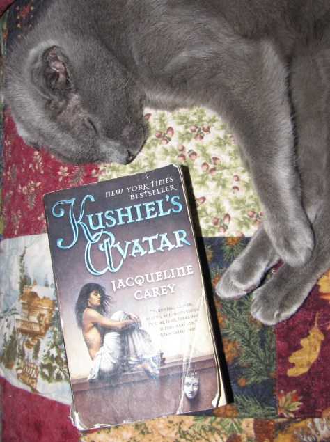 Claudie snoozing with a very good  book.