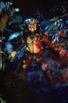 170px-Predator_(1987)_-_The_Predator