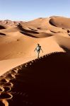 220px-Morocco_Africa_Flickr_Rosino_December_2005_83965745