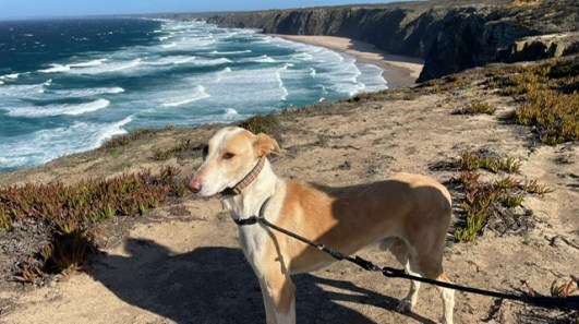 PHOTO-2021-12-02-12-18-31