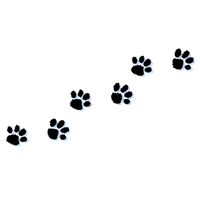 paws